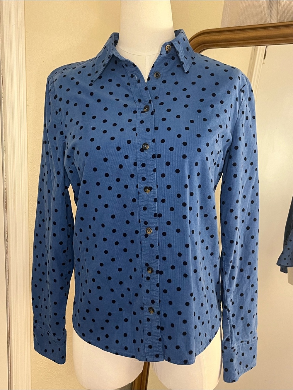 Boden Blue Polka Dot Long-Sleeve Button-Up Shirt